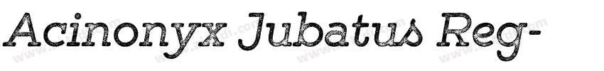 Acinonyx Jubatus Reg字体转换